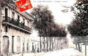 1025- Sidi-Bel-Abbes - Avenue Kleber